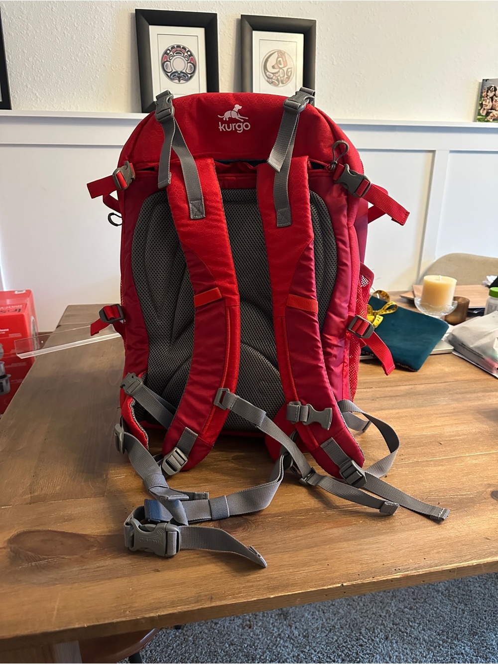 Kurgo G-Train Dog Carrier Backpack - NEW! - Picture 2 of 2